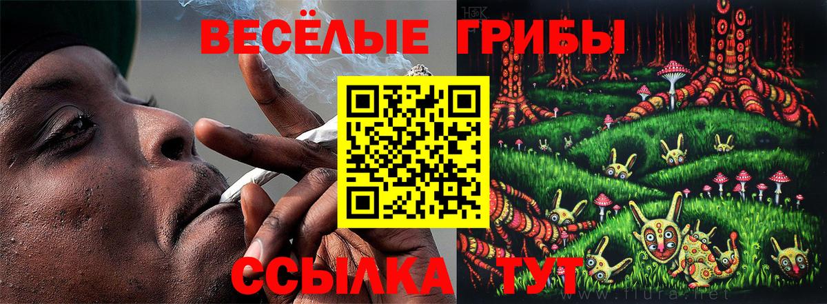Псилоцибиновые грибы Psilocybe Луга