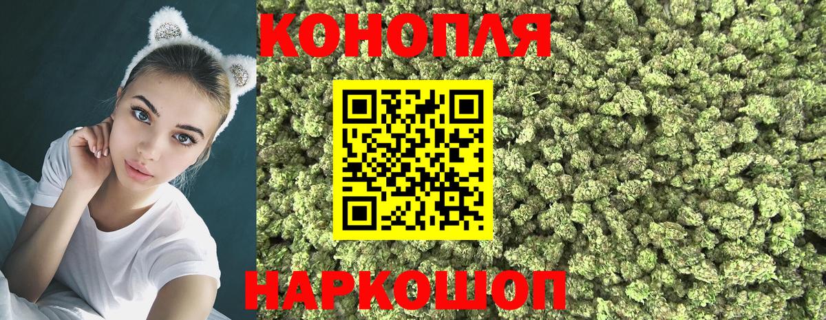 Конопля OG Kush Луга
